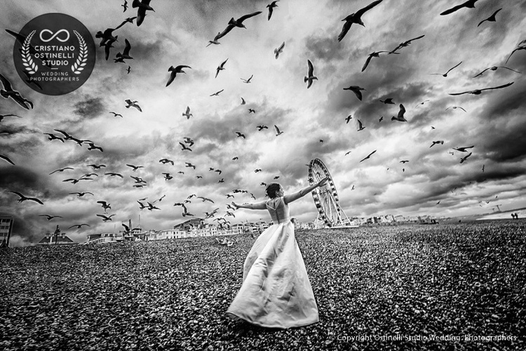 Wedding photographer of the year